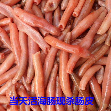 青岛海域野生鲜活海肠子当天现杀的海肠皮/清理过内脏/清脆美味
