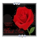 玫香瑰丽--唯美玫瑰世界 专业玫瑰养生护肤