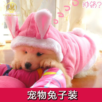 宠物衣服 棉衣兔兔装宠物泰迪狗狗衣服兔子贵宾猫咪春夏服装