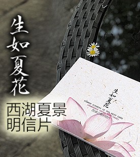 生如夏花/杭州西湖明信片旅游纪念品特种纸卡片/中英文【12枚】
