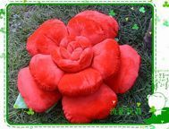 正版NICI红色玫瑰花开抱枕 爱意浓浓花型绿叶靠垫 80cm包邮