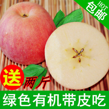 【三张嘴果园】新鲜水果苹果山东烟台栖霞最晚熟苹果10斤包邮特价
