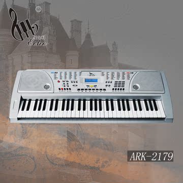 爱尔科中文版61键电子琴儿童成人启蒙教学入门钢琴标准键ARK-2179