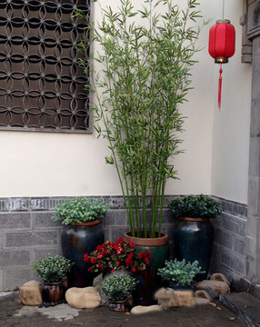 过胶仿真竹子细水竹仿真植物装饰竹子批发假竹子阳台隔断屏风