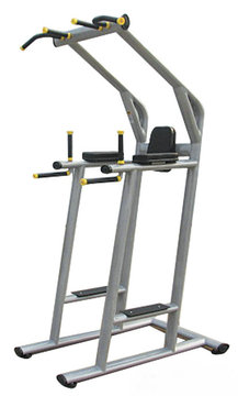 LZX商业引体向上机单双杠健身房会所家用专业健身器械特价包邮