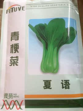夏语 青梗菜种子 200g杂交油菜上海青种子，耐热耐水