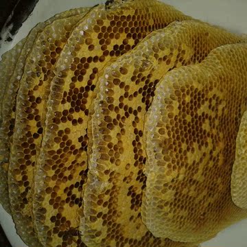 开业特价销售纯正野蜂蜜，源于自然的纯天然好蜂蜜。满量包邮