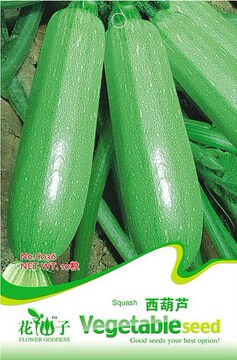 西葫芦家常蔬菜种子时令蔬菜健康蔬菜种子四季可种蔬菜种子易栽培