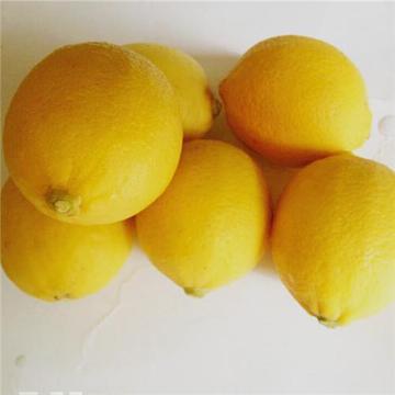 批发四川资阳安岳新鲜水果黄柠檬新鲜柠檬特价85g一个30个包邮