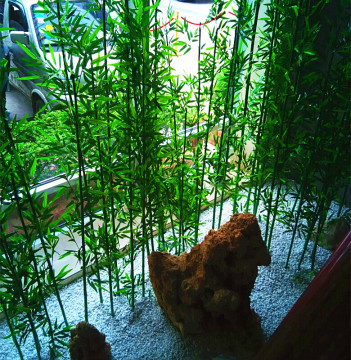 仿真竹子 假竹子屏风隔断装饰毛竹 环保镀膜加密带叶仿真绿植竹子