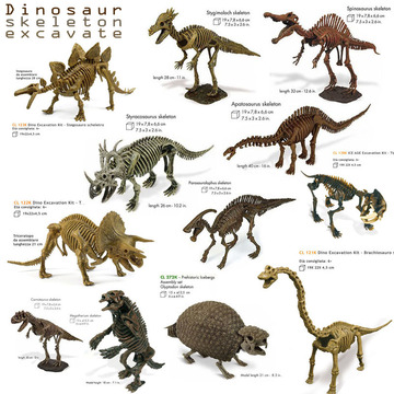 玩物尚志出品 动物模型玩具【拼装侏罗纪恐龙骨架 考古挖掘系列】