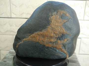 石头摆件奇石天然观赏石金纹石图案画面石动物文字造型风园林石山