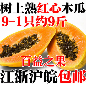 新鲜水果海南树上熟木瓜自然成熟红木瓜10-12只约9斤江浙沪皖包邮