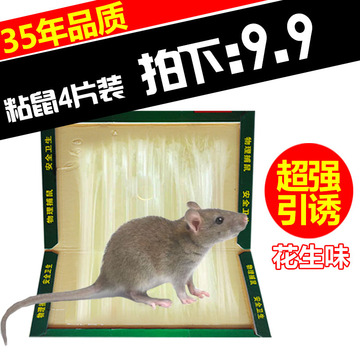 金鹿老鼠贴4片超强力粘鼠板捕鼠器灭鼠器夹老鼠胶老鼠粘板老鼠夹