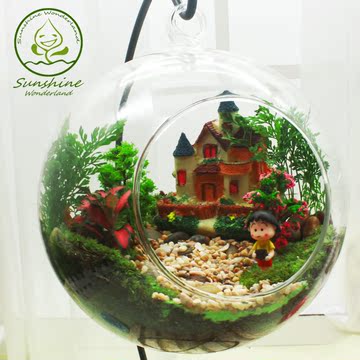 苔藓微观生态瓶diy材料绿植创意礼物玻璃瓶卧室植物盆栽迷你客厅