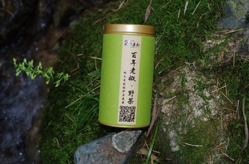 【25度茶韵·伴生】武夷山桐木麻粟正山小种百年老枞野茶枞味独显