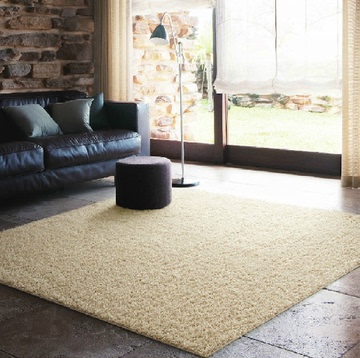 简约现代客厅地毯茶几地毯卧室满铺地毯婚房加厚床边毯地垫可定做