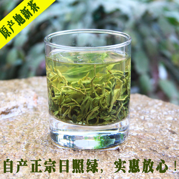 绿茶正宗日照绿茶2015新茶自产自销炒青有机茶散装浓香包邮
