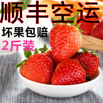 长丰草莓 新鲜草莓2斤装红颜奶油草莓 现摘现发冬草莓鲜草莓包邮