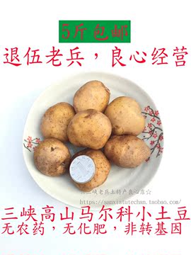 三峡高山迷你黄心小土豆马尔科马铃薯农家自种富硒非转基因洋芋