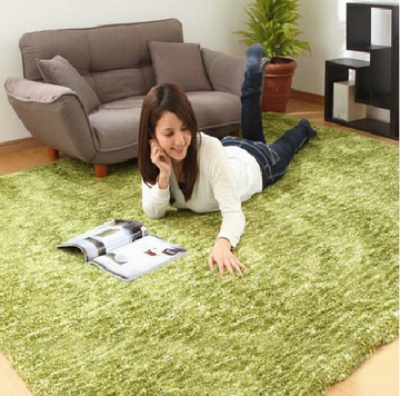 新品段染加厚客厅地毯 卧室茶几沙发地毯婚房可爱满铺床边毯