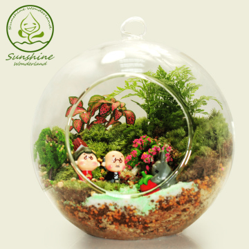 花仙绿植 微景观创意玻璃吊瓶绿植苔藓植物生态瓶DIY摆件盆栽盆景