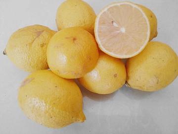 四川新鲜水果有机黄柠檬丑果皮薄汁多特价促销6斤包邮