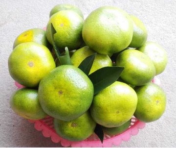广东省包邮 特早蜜柑5斤 九峰水果 自种现摘蜜橘 桔子 柑子