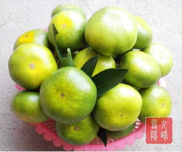 顺丰包邮 特早蜜柑10斤 九峰水果 自种现摘蜜橘 桔子 柑子