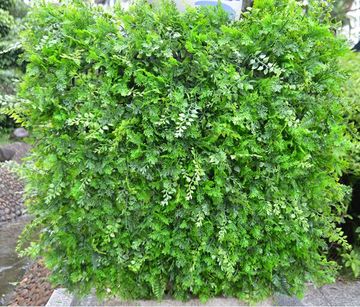 仿真绿植墙植物墙面草皮绿化加密草坪背景墙装饰壁挂塑料米兰包邮