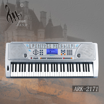 爱尔科电子琴61键 初学者儿童教学型标准钢琴键台式电子琴ARK2171