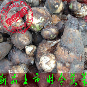 泰州兴化特产芋头龙香芋新鲜芋头仔农产品舌尖上的中国苏北促销