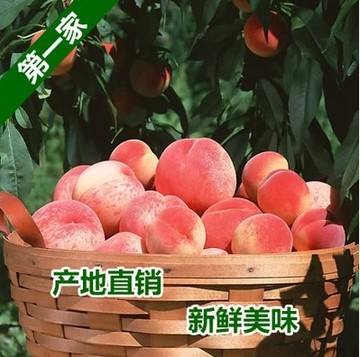 现货平谷有机特级水蜜桃 北京特产新鲜水果胜阳山水蜜桃顺丰包邮