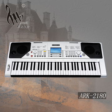 爱尔科中文版61键电子琴 台式智能教学专业版双键盘儿童电子琴