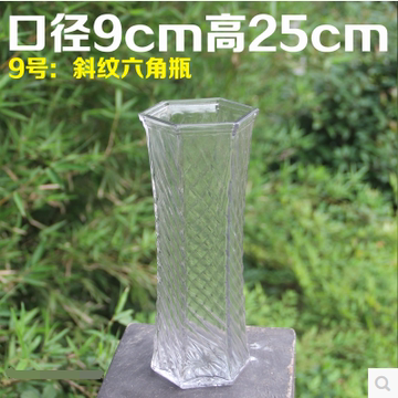 六角玻璃花瓶 花盆水培植物插花器富贵竹瓶透明玻璃花瓶多种花瓶