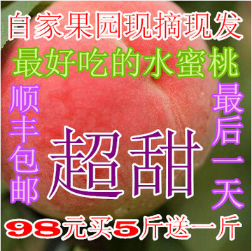 【天天特价】正宗平谷大桃北京特产水蜜桃甜新鲜水果6斤礼盒包邮