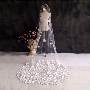 新娘头纱2016新款韩式花瓣3米超长拖尾结婚拍照婚纱仙女头纱