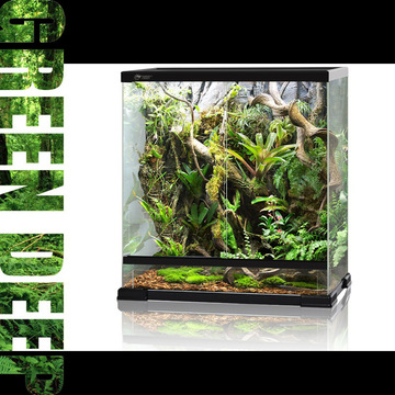 GreenDeep植物  饲养缸 爬虫缸 爬箱 空气/积水凤梨 60X40X60