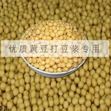 250g小黄豆打豆浆专用大豆 农家非转基因发豆芽土黄豆
