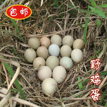 苏北正宗农家杂粮散养新鲜七彩野鸡蛋山鸡蛋草鸡蛋月子蛋30枚包邮