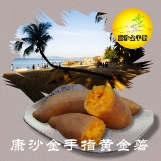 海南新鲜黄金薯无公害蔬菜红薯康沙地瓜黄心生白薯黄皮番薯3斤