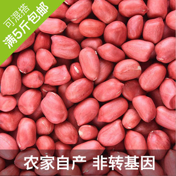 2015新 农家自产纯天然红皮花生米批发散装250g 江浙沪满5斤包邮
