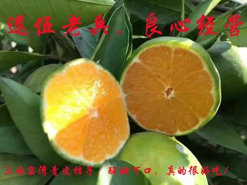 珍珠桔正宗宜昌窑湾柑橘三峡蜜桔早熟桔子橘子新鲜水果青皮桔子