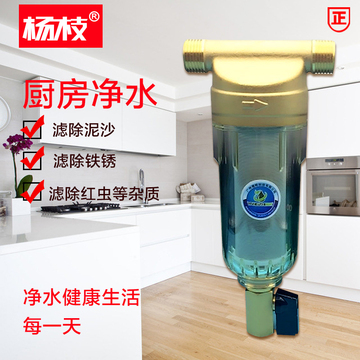 杨枝前置过滤器反冲洗家用自来水洗衣机热水器中央管道净水器包邮