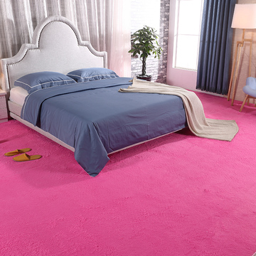 家用房间床边满铺丝毛地毯客厅茶几可机洗卧室长方形榻榻米垫