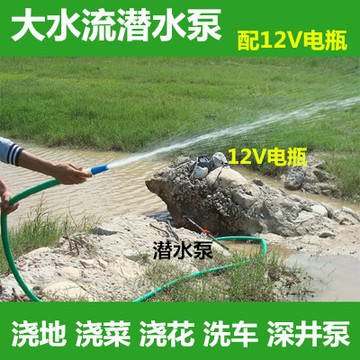 农用户外灌溉浇菜浇花洗车便携充电式电瓶车12V大流量抽水潜水泵